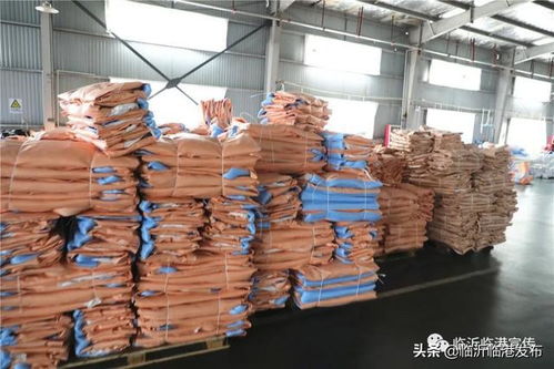 賣全球 看臨港小袋子如何撬動(dòng)7000萬(wàn)